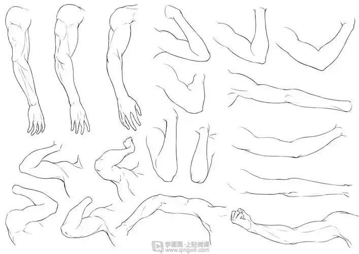 日系厚涂之手臂肌肉及连接关系