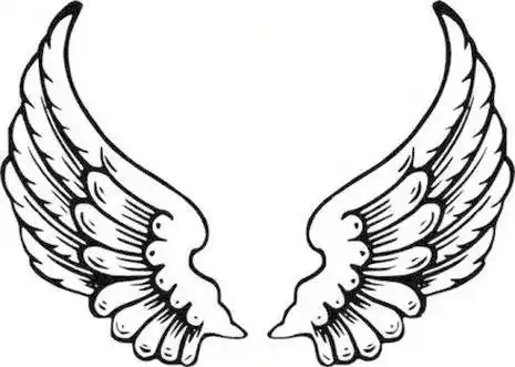 天使翅膀简笔画 小天使翅膀简笔画绘画图片