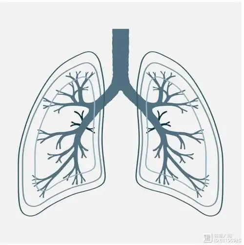 《看图自学<解剖生理学>》③:呼吸系统,呼吸道功能,肺,肺泡与
