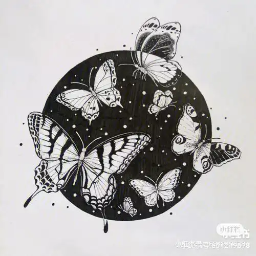 黑白装饰画7蝴蝶的塑造