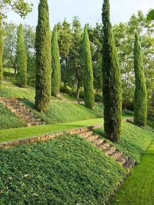 景观护坡知多少~|基质|边坡|坡面|挡墙_网易订阅