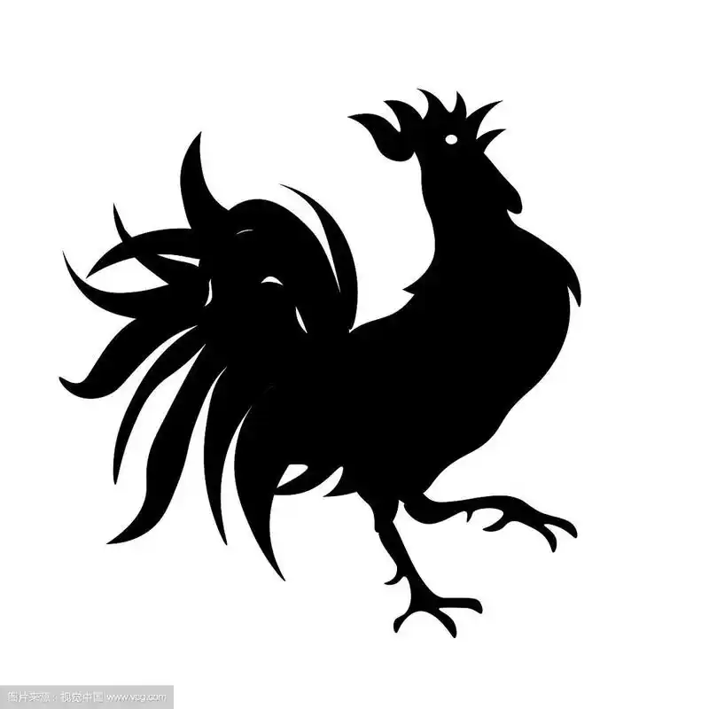 黑白画一只雄鸡孤立