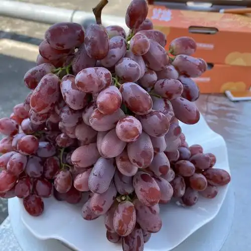 乐鲜果园无籽红提2斤提子新鲜无核葡萄脆甜提子时令水果顺丰空运