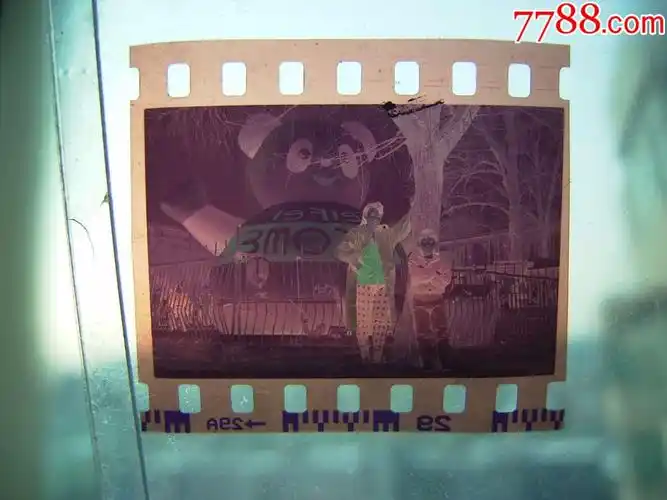 母子合影(135胶卷的)-价格:1元-se57092888-老照片-零售-7788收藏