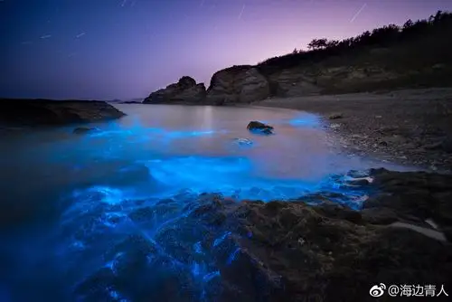 幻蓝夜海近午夜时分梦幻荧光随此起彼伏的海浪奔涌而出
