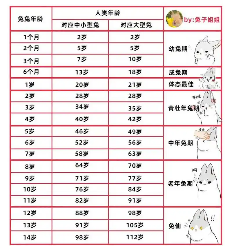 姐妹们,兔兔人类年龄对照表,快收藏起来吧 查阅资料,做了一份表格特地