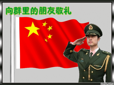 敬礼gif严肃gif守群gif站岗gif