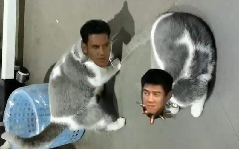 猫的更衣室还原魔男与van