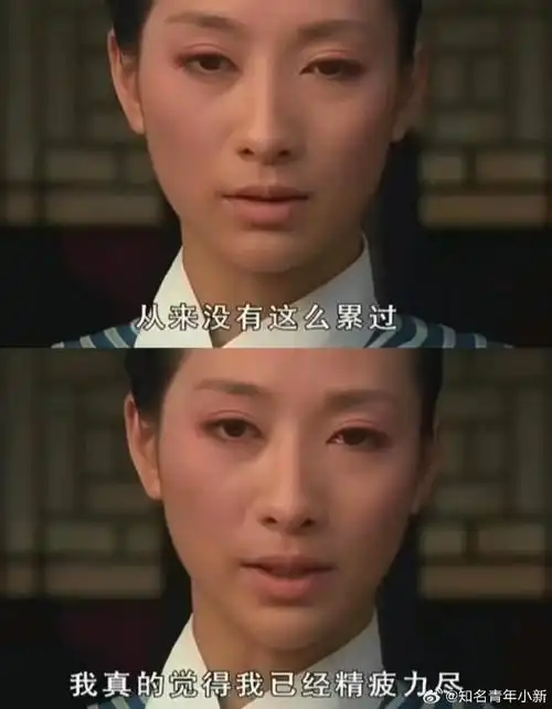 整活还得是东北人#安陵容你是不是在演我啊