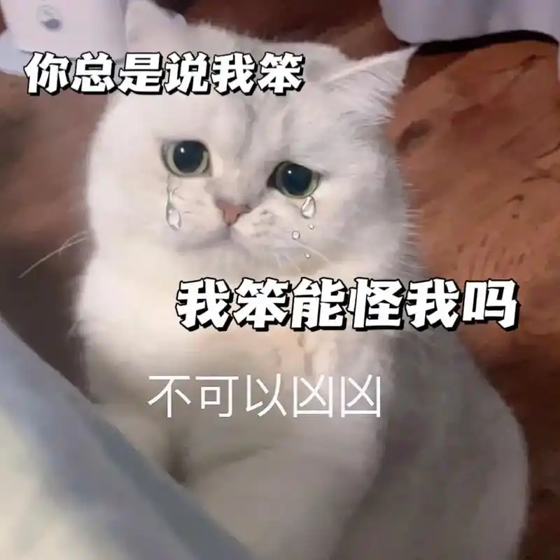 你总是说我笨,我笨能怪我吗?我脑袋一共就这么大,全都用来想你 - 抖音