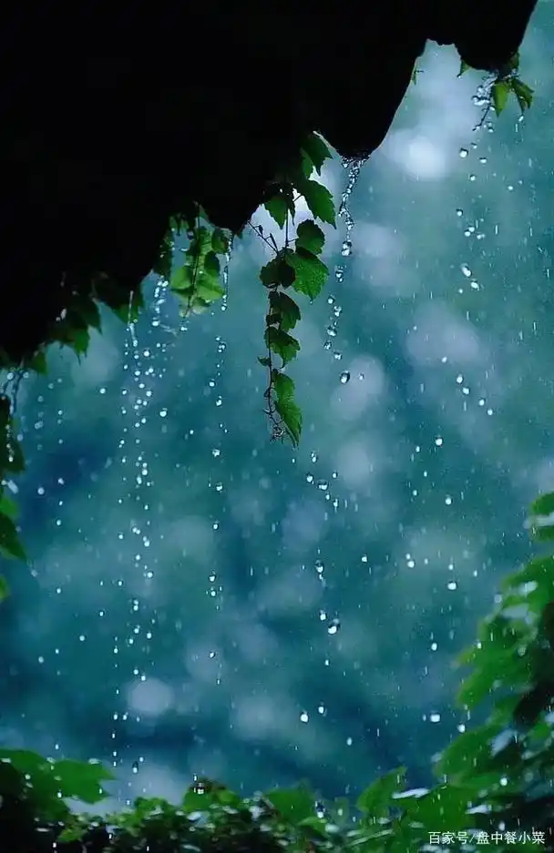 百家号/盘中餐小菜 没有挫折,哪会成 功. 唯美 雨过天晴, - 抖音