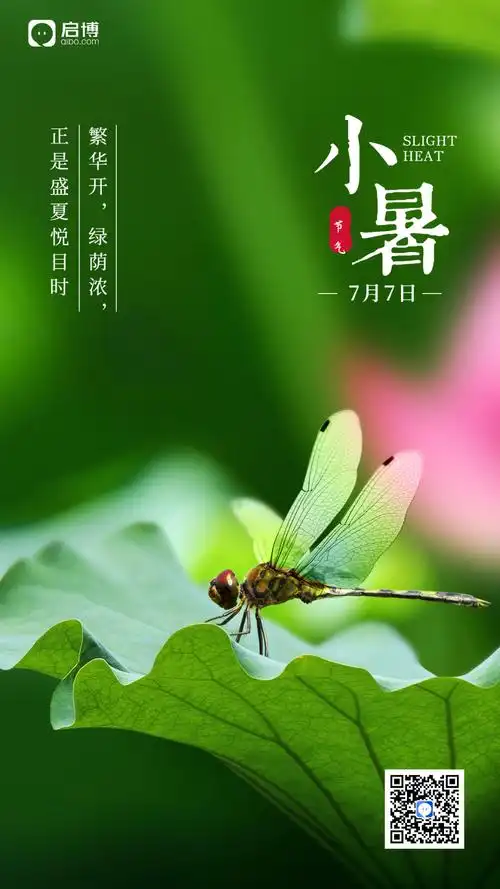 小暑节气祝福问候实景莲花手机海报.jpg