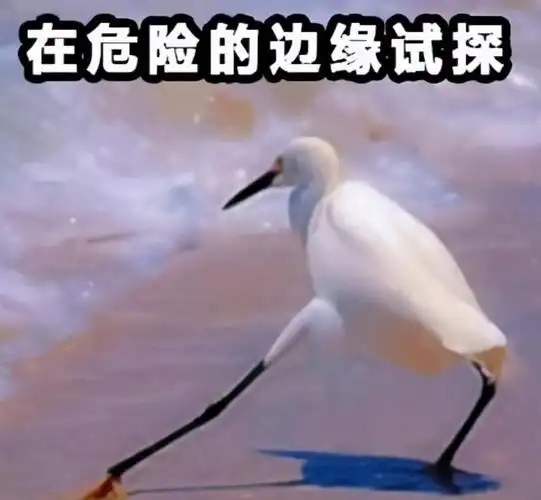 结果是显而易见的.