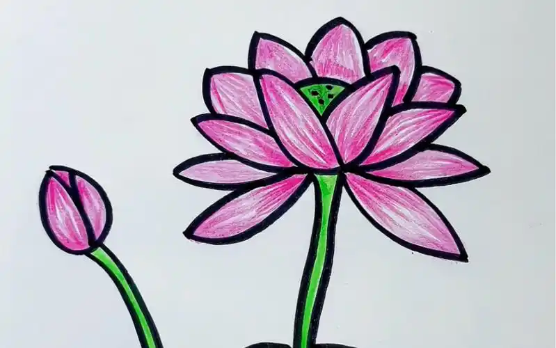 跟我学起来吧#儿童画 #育儿简笔画 #亲子简笔画 #儿童简笔画 #荷花简