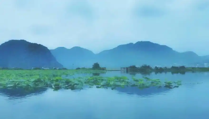 普者黑不一样的山水画