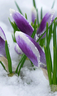 240_400竖版 竖屏gif 动态图 动图