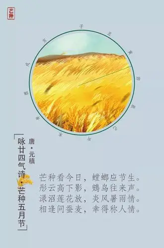 二十四节气之九61芒种今日芒种愿幸福终如约而至