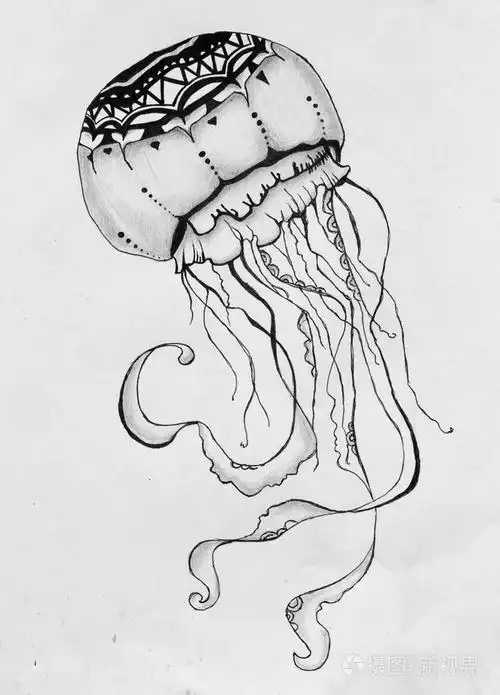 水母黑色铅笔图