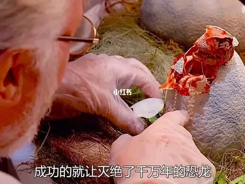 蚊子孵化出的恐龙