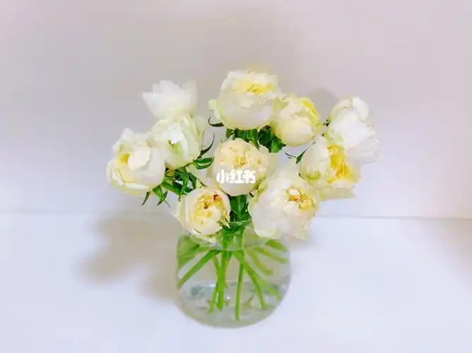 2020购花玉蝴蝶多头玫瑰