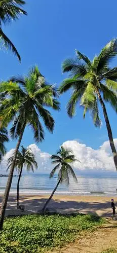 其它 海南三亚印象(下) 写美篇  椰树,海滩,大海是三亚的典型风光.