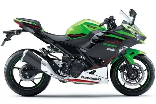 川崎套娃家族壮大 ninja250新款日本上市 和忍4长的一样