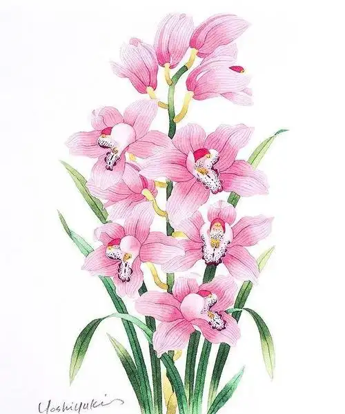 写实水彩画怎么画看看这些花