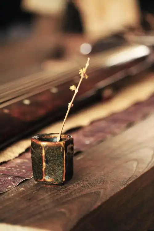 古琴让我心静的老友