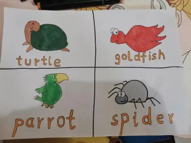 二年级下册的英语单词