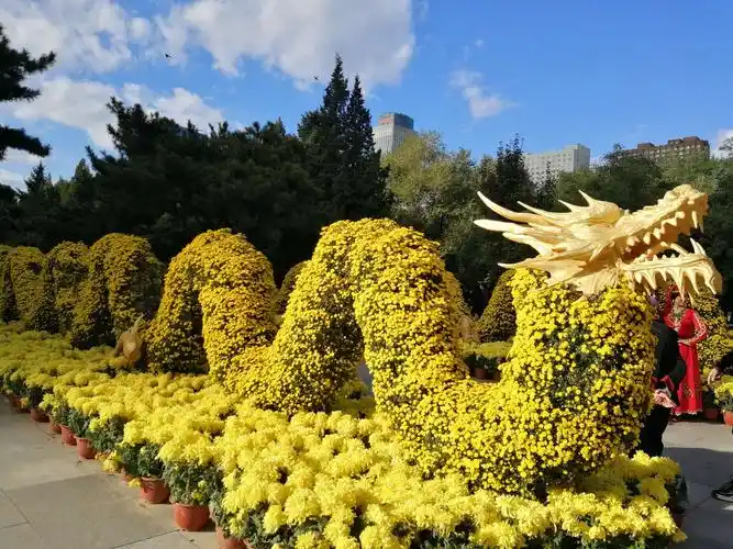 中山公园菊花展