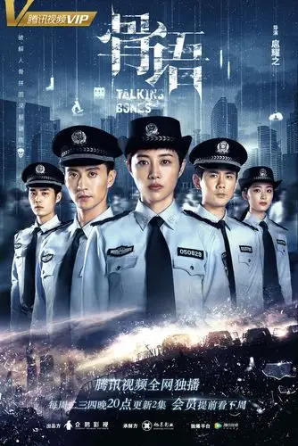 刑侦悬疑犯罪电视剧 骨语 dvd光盘家用碟片 张龄心蔡宜达高仁