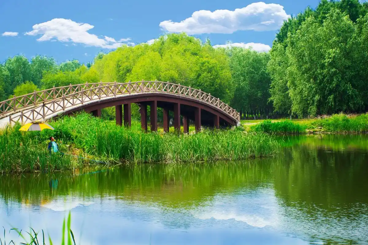 沈阳盛夏季节的风景