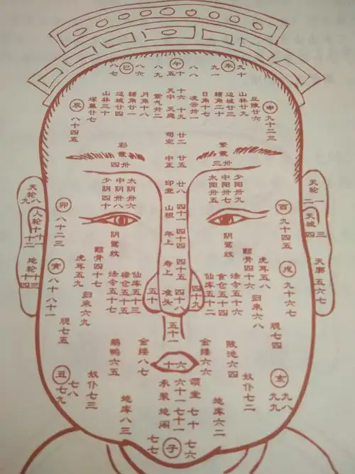 面相如何看一个人运势