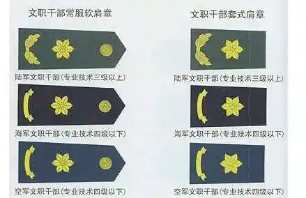 解放军文职军衔肩章是一个花什么军衔