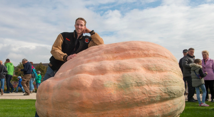 你知道世界上最大的南瓜有多重吗?