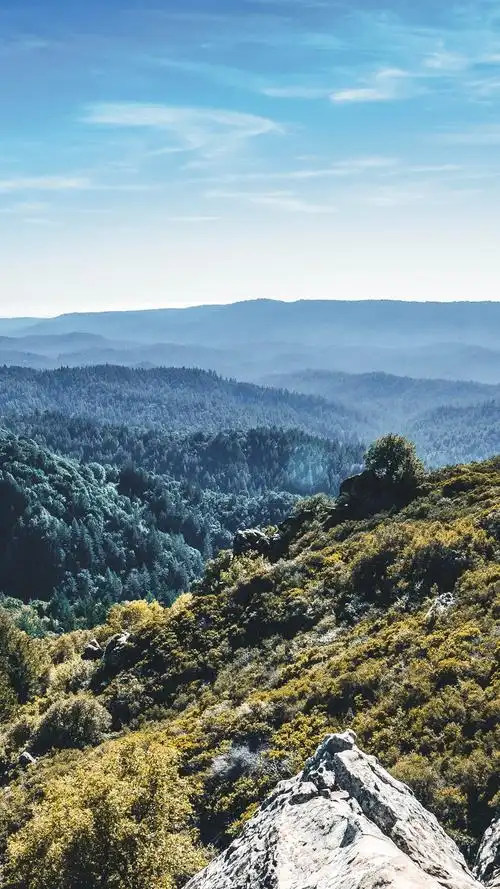 桌布 山,森林,树木,顶视图,天空 3840x2160 uhd 4k 高清桌布, 图片
