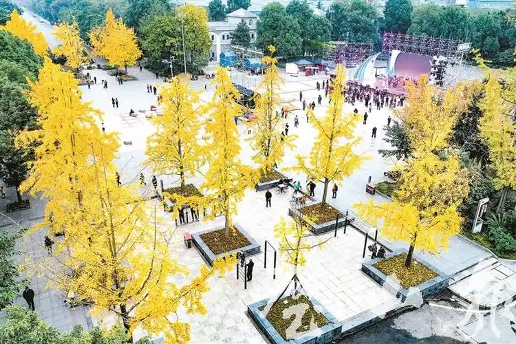 色彩斑斓如诗画 初冬璧山韵味足 ——儒雅璧山冬日掠影_璧山要闻_璧山