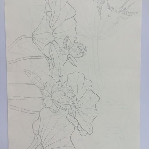 工笔画荷花线稿宣纸描影纸  一套14张 工笔线描  临摹纸