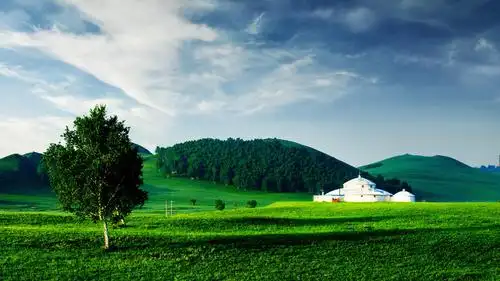 人生百态all about life