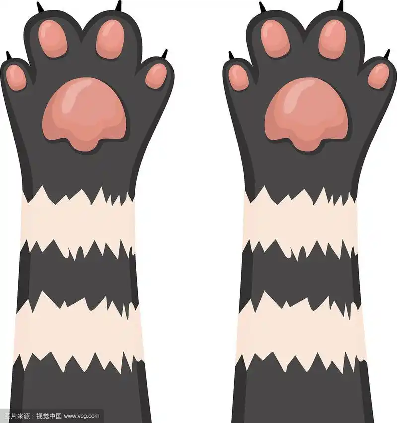 猫背景小猫卡通爪子设置