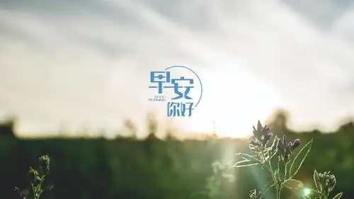 每天一句早安唯美心语