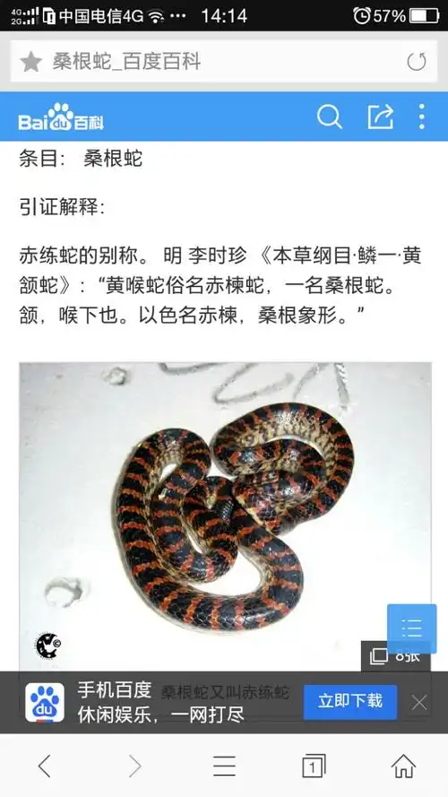 【图】这是什么蛇_四川论坛_汽车之家论坛