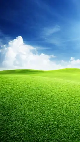 绿色保护您的眼睛