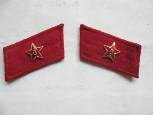 六,七,八十年代的老兵帮我看看这领章是陆军65式的还是武警83式的