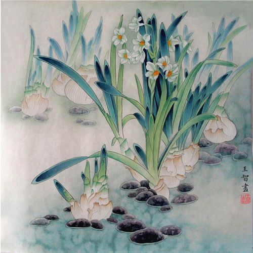 工笔画白描底稿线稿实物打印稿国画初学者素材水仙花送教学视频