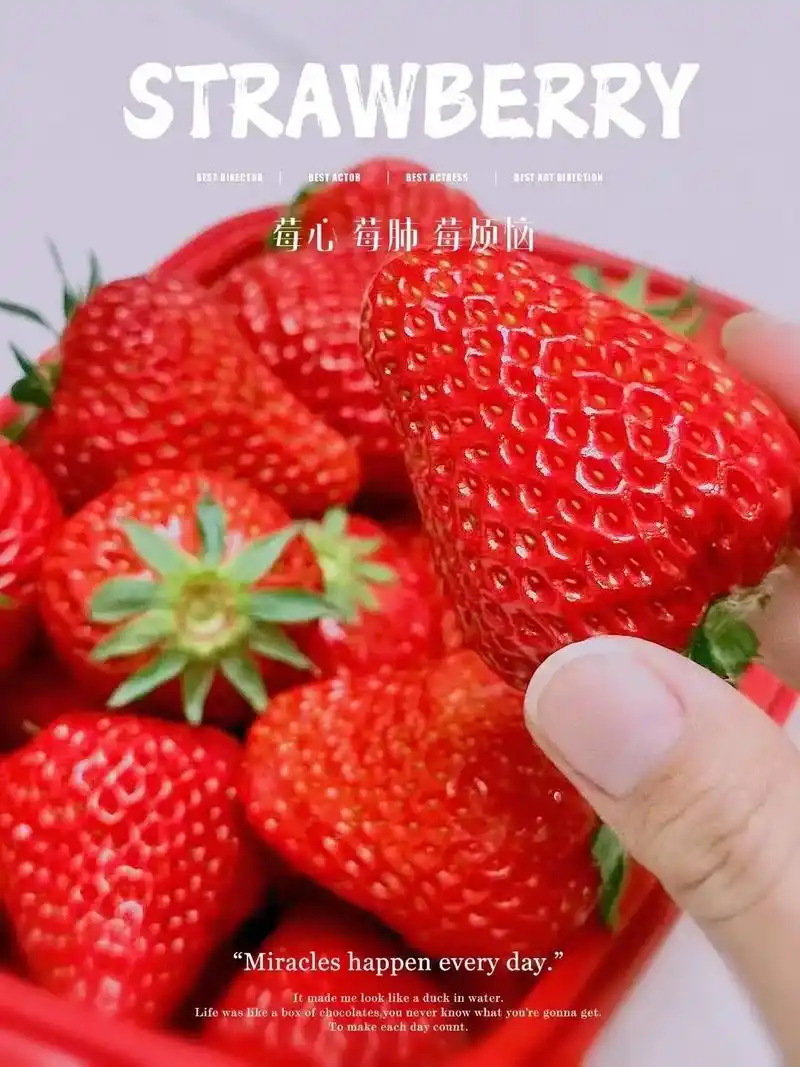 草莓91919191品种:红颜,丹东九九一样的 - 抖音