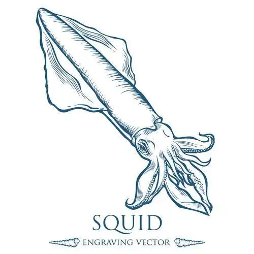 特色烤鱿鱼简笔画画法5款可爱的卡通鱿鱼简笔画图片怎么画简笔画教程