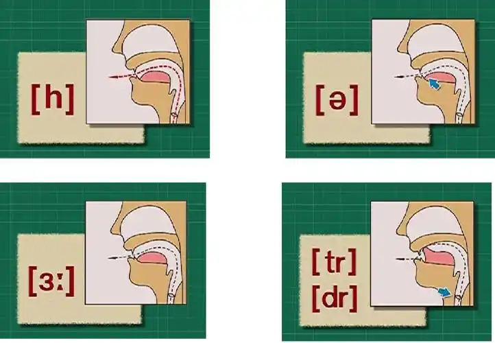 文档网 所有分类 外语学习 英语学习 国际音标发音口型上一页第8页 下