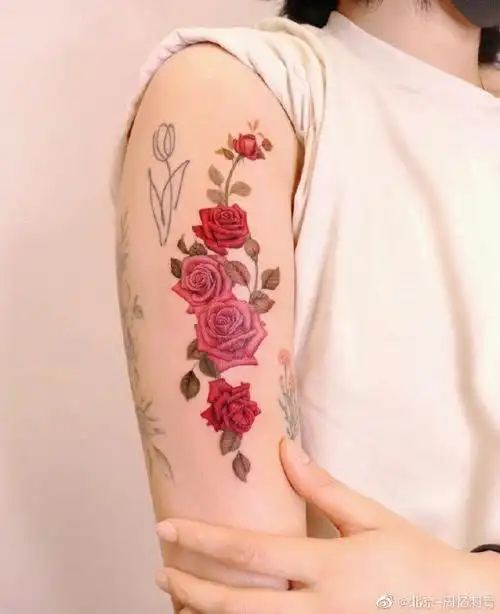 纹身分享##北京纹身店##玫瑰纹身