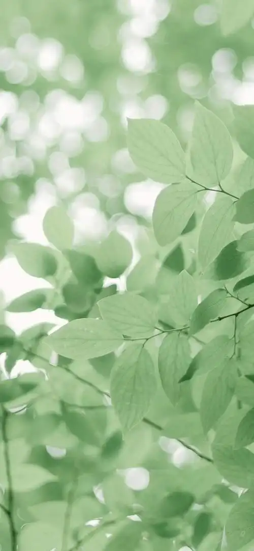 超级养眼的夏日壁纸,快来挑一张吧